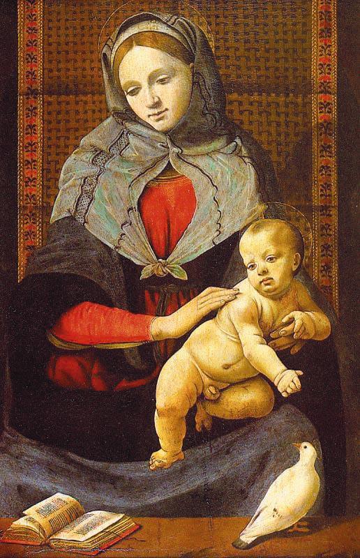 Piero di Cosimo The Virgin Child with a Dove oil painting image